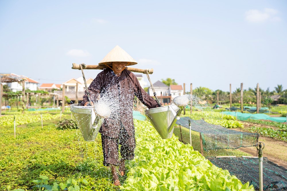 Việt Nam chính thức có thêm một làng du lịch tốt nhất thế giới, là làng rau 400 tuổi ở thành phố đẹp thứ 4 hành tinh - ảnh 5