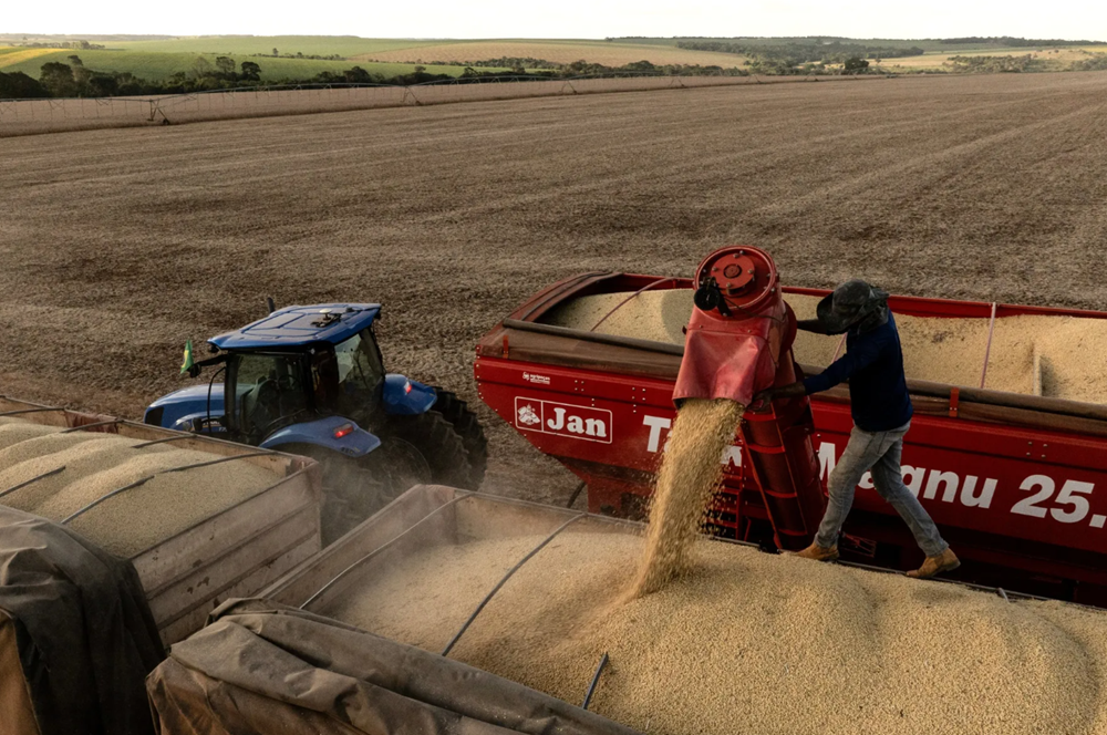 Giữa lúc thương chiến nóng bỏng, thương nhân Trung Quốc ồ ạt thu mua một mặt hàng - ảnh 1