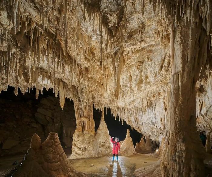 Đang đào mương dẫn nước phát hiện 'kho báu', là 'cung điện pha lê ngầm' 480 triệu năm - ảnh 2