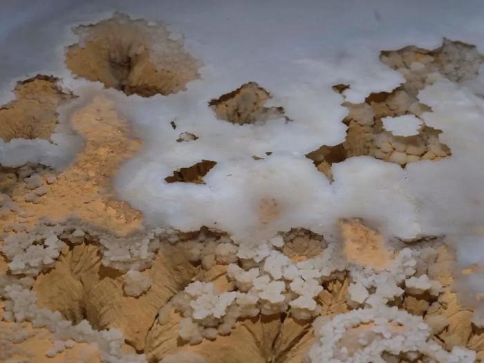 Đang đào mương dẫn nước phát hiện 'kho báu', là 'cung điện pha lê ngầm' 480 triệu năm - ảnh 3