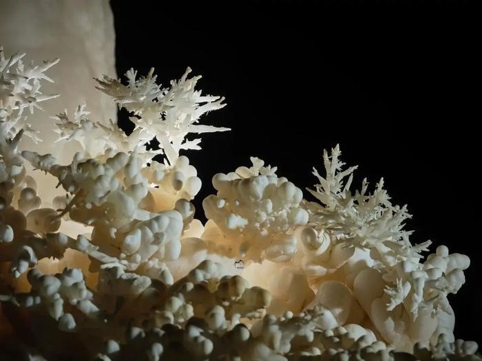 Đang đào mương dẫn nước phát hiện 'kho báu', là 'cung điện pha lê ngầm' 480 triệu năm - ảnh 4