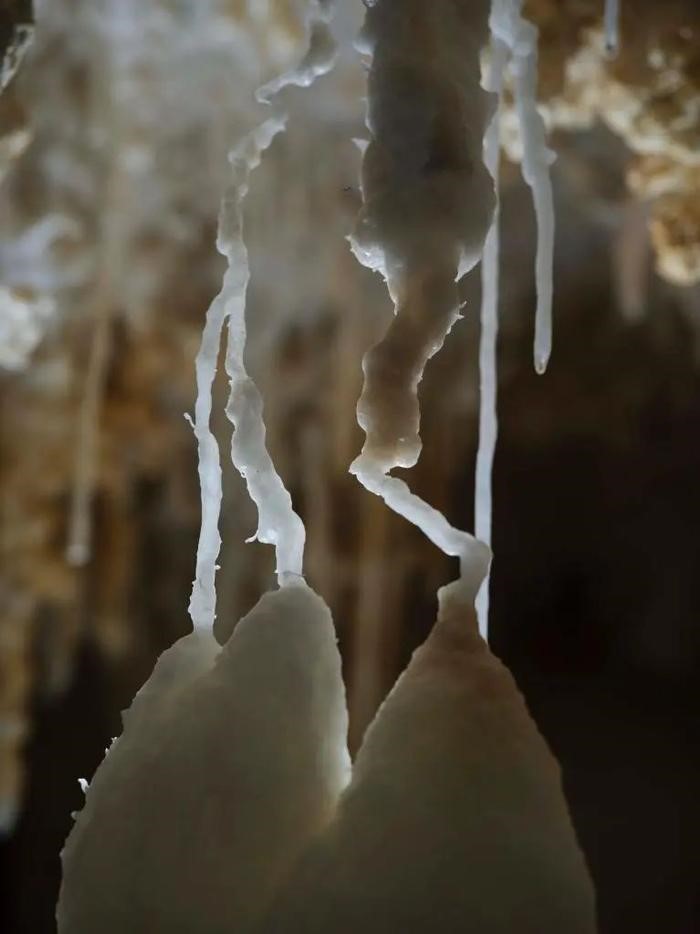 Đang đào mương dẫn nước phát hiện 'kho báu', là 'cung điện pha lê ngầm' 480 triệu năm - ảnh 5