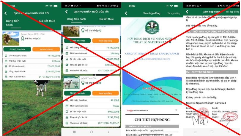 Công an công bố 'khẩn' về hai đường link khiến 751 người bị lừa hơn 17 tỷ - ảnh 1