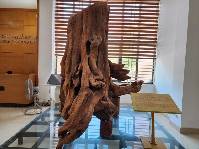 Gốc gỗ quý trăm năm giá trị hàng chục tỷ được tìm thấy ở Việt Nam, lực lượng chức năng lập tức đến hiện trường - ảnh 1