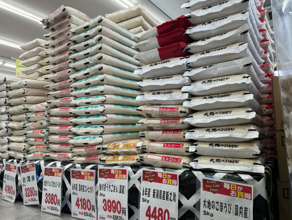 2 trụ cột của siêu cường châu Á lao đao vì thỏa thuận thương mại Mỹ - Anh - ảnh 2