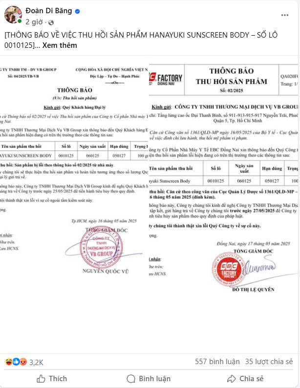 Chuyện gì đang xảy ra với ‘đại gia quận 7’ Đoàn Di Băng? - ảnh 2