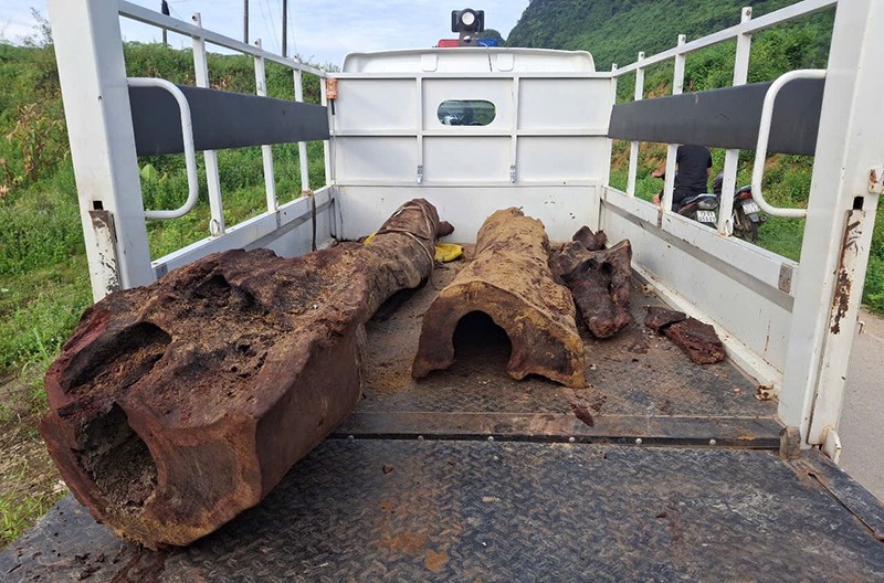 Người dân Việt Nam phát hiện khúc gỗ quý được ví như 'vàng xanh' dưới lòng suối, lực lượng chức năng khẩn trương đến hiện trường - ảnh 1