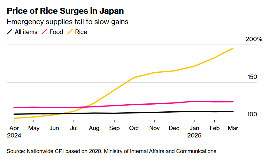 Nền kinh tế lớn thứ 4 thế giới đối mặt khủng hoảng gạo chưa từng có: Bộ trưởng từ chức, Thủ tướng Ishiba lâm thế khó - ảnh 2