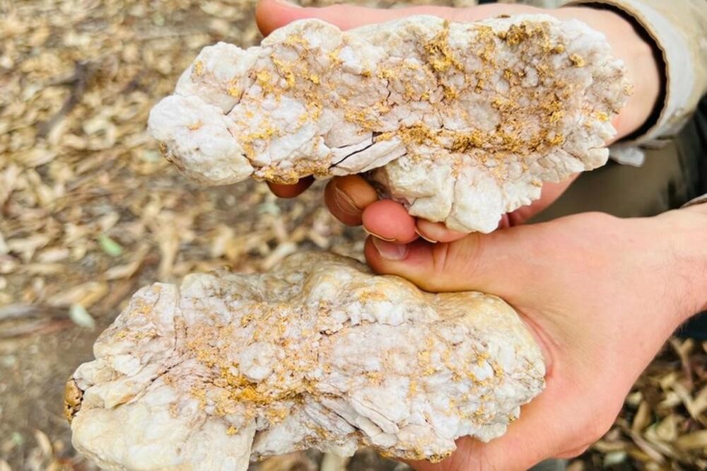 Sử dụng máy dò kim loại, người đàn ông đào được tảng đá chứa 2,6kg vàng nguyên chất trị giá hơn 4 tỷ - ảnh 2