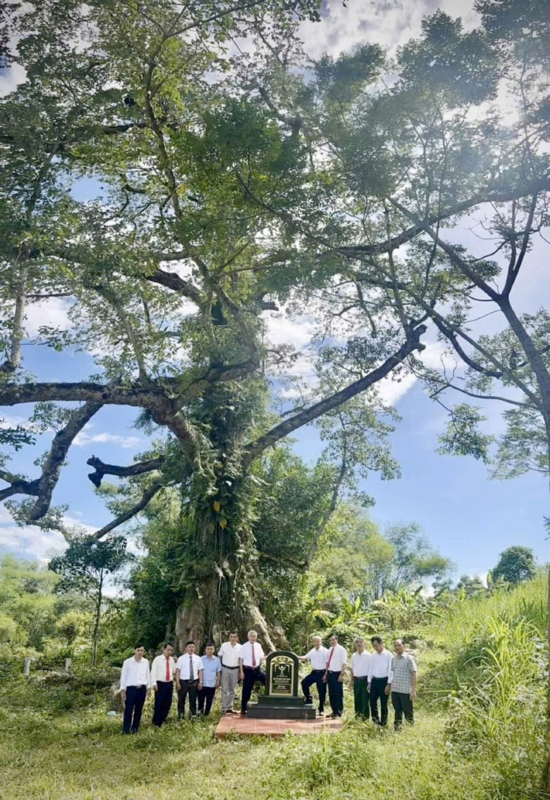 Cây có hoa ăn được là 'Cây Di sản Việt Nam' đầu tiên ở Quảng Bình, đã hơn 300 tuổi, dân làng bảo vệ như báu vật - ảnh 1