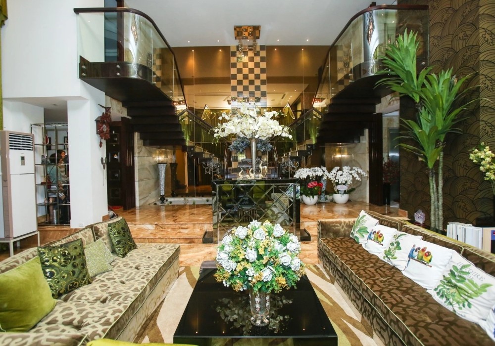 Đàm Vĩnh Hưng bất ngờ thừa nhận cần tiền, rao bán biệt thự triệu đô ở 'khu đất vàng' - ảnh 2