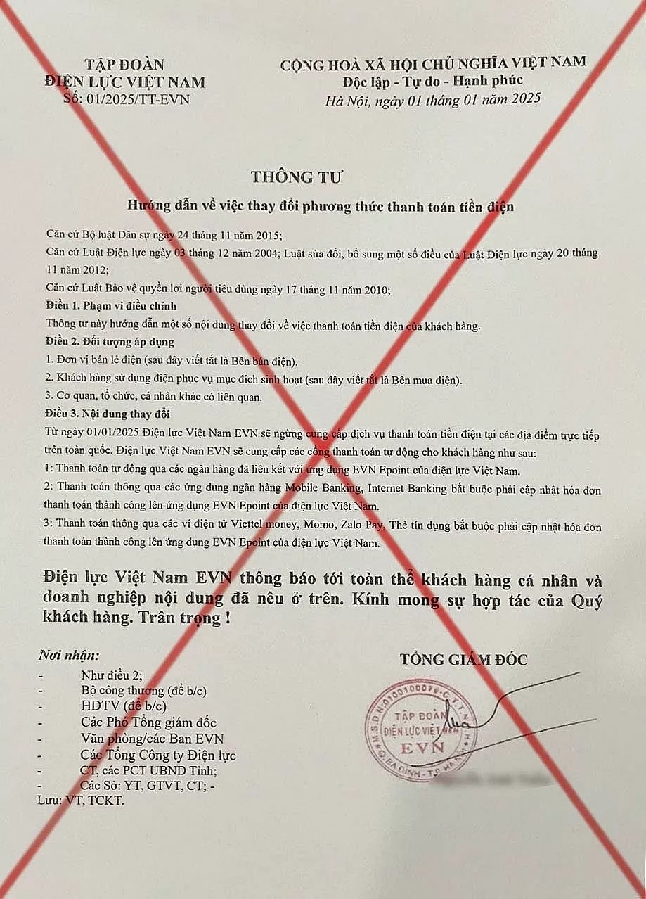Tập đoàn Điện lực Việt Nam cảnh báo - ảnh 1