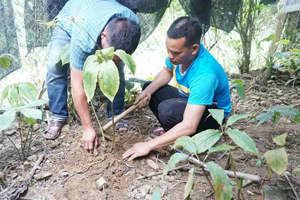 Chi 5 tỷ đồng, hai đề tài khoa học ở tỉnh miền Trung vẫn 'về tay trắng', công an vào cuộc - ảnh 1