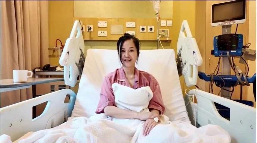 Diva Hồng Nhung và quyết định tàn bạo sau khi mắc ung thư - ảnh 2