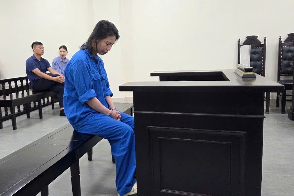 Hồng Dung chiếm đoạt 81 tỷ đồng của 3 ngân hàng, mở 9 công ty 'ma' dưới chức giám đốc: Tòa án chính thức xét xử - ảnh 1