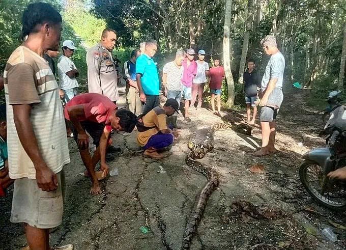 Bi kịch kinh hoàng ở thiên đường du lịch Đông Nam Á, tìm thấy nạn nhân trong bụng con trăn dài 9m - ảnh 1