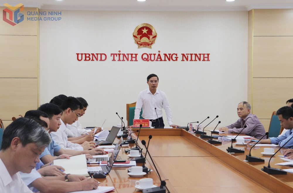 Quảng Ninh có động thái mới sau vụ lật tàu, có thể ứng dụng trí tuệ nhân tạo hiện đại trong du lịch - ảnh 1