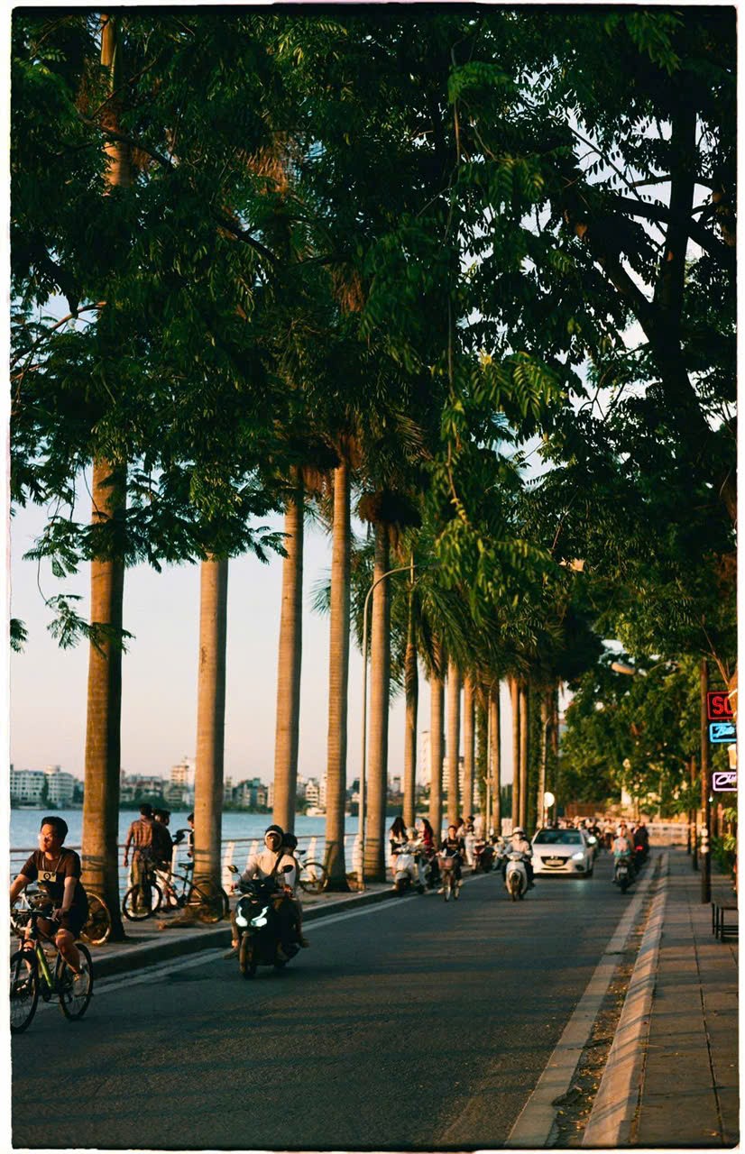 Hãng hàng không báo tin vui, ngành du lịch sôi động - ảnh 4