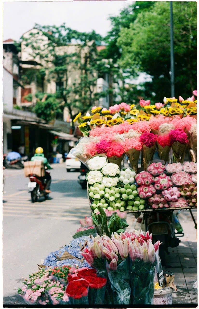 Hãng hàng không báo tin vui, ngành du lịch sôi động - ảnh 5