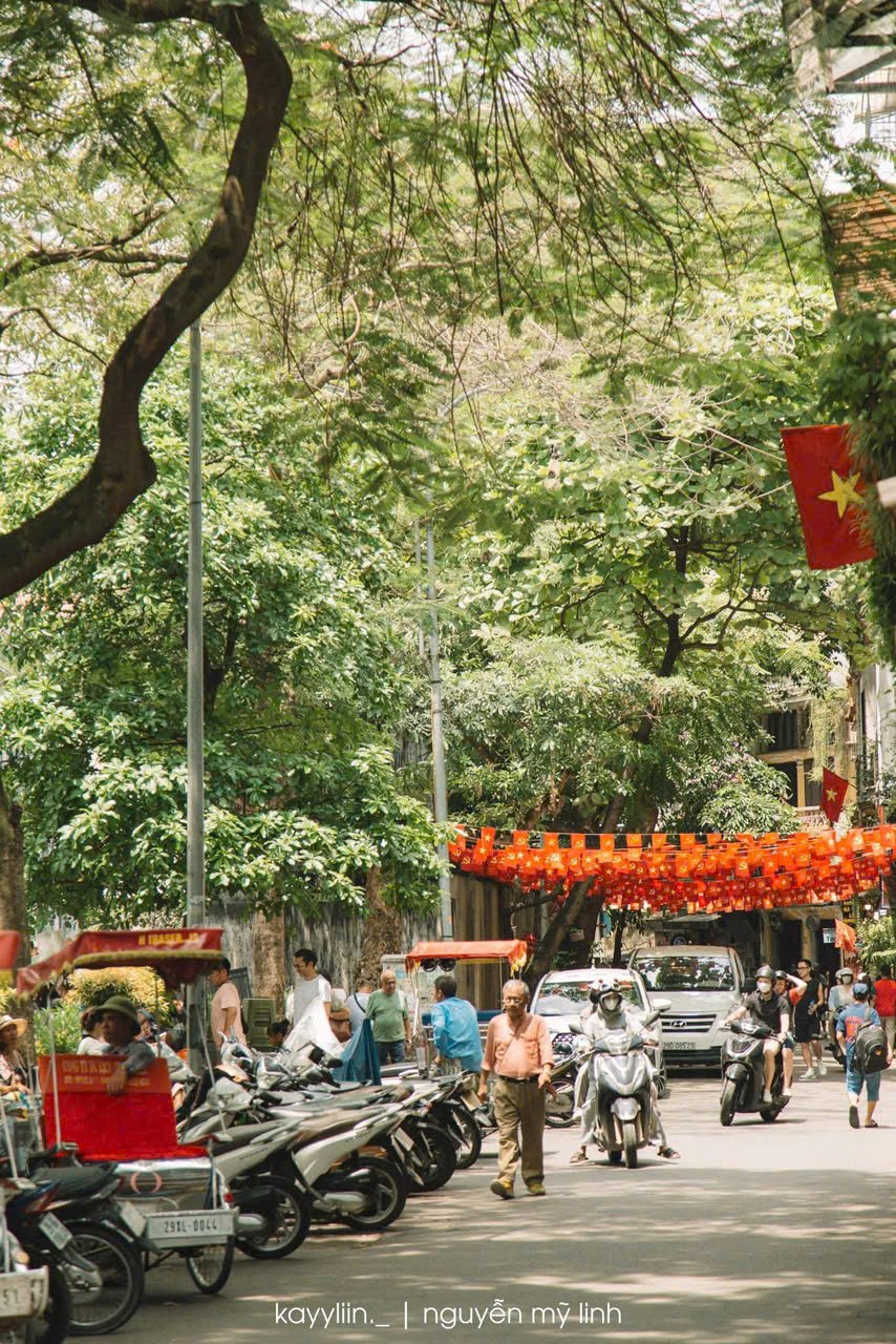 Hãng hàng không báo tin vui, ngành du lịch sôi động - ảnh 3