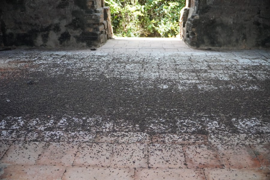 Di tích quốc gia 1.000 năm tuổi của Việt Nam bị xâm hại - ảnh 5