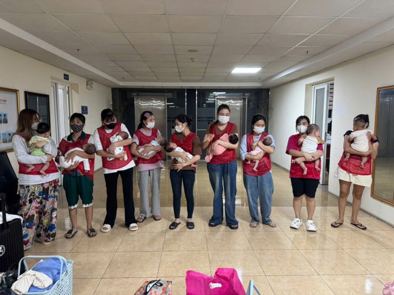 Triệt phá đường dây mang thai hộ xuyên quốc gia quy mô lớn: 60 ca trót lọt, 11 trẻ sơ sinh được giải cứu - ảnh 2