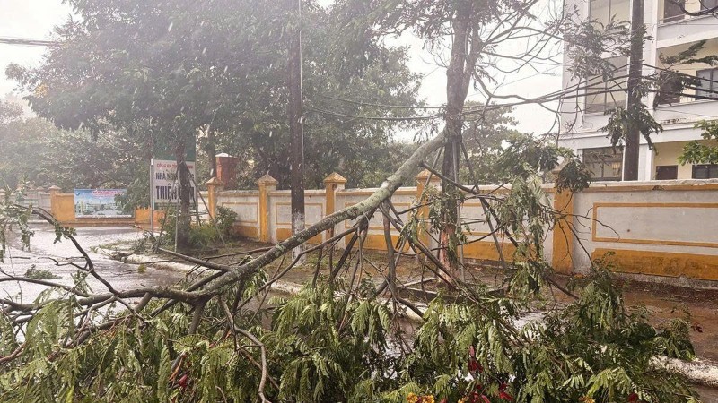 Thủ tướng Chính phủ chỉ đạo khẩn trương khắc phục hậu quả bão số 5 và ứng phó mưa lũ sau bão - ảnh 2