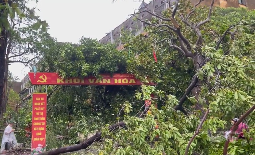 Bão số 5 quần thảo suốt đêm, Nghệ An, Hà Tĩnh thiệt hại lớn, hàng trăm ngôi nhà bị sập, cây đổ ngổn ngang - ảnh 2