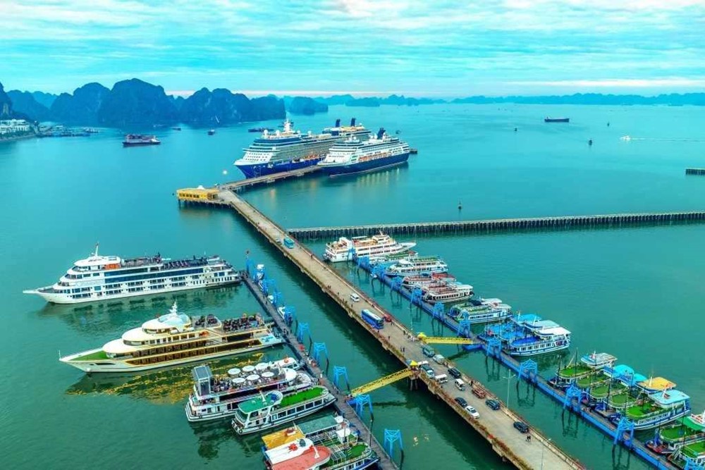 Tỉnh giàu có top đầu cả nước, thu hút hàng trăm tỷ phú đến thăm mỗi năm - ảnh 3