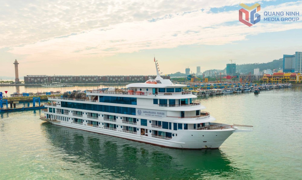 Từ bây giờ, cựu chiến binh, thương binh, bệnh binh, người có công với cách mạng liên hệ 0973.811.263 để nhận quà đặc biệt - ảnh 1