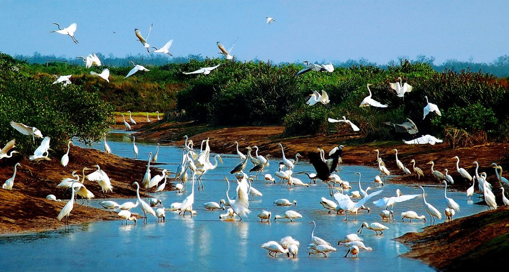 Việt Nam chính thức có thêm 3 Công viên Di sản ASEAN, trở thành quốc gia dẫn đầu Đông Nam Á - ảnh 5