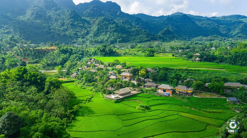 'Mỏ vàng' mang về cho tỉnh có 3 vườn quốc gia 'độc nhất ở miền Bắc' gần 12.000 tỷ đồng - ảnh 1