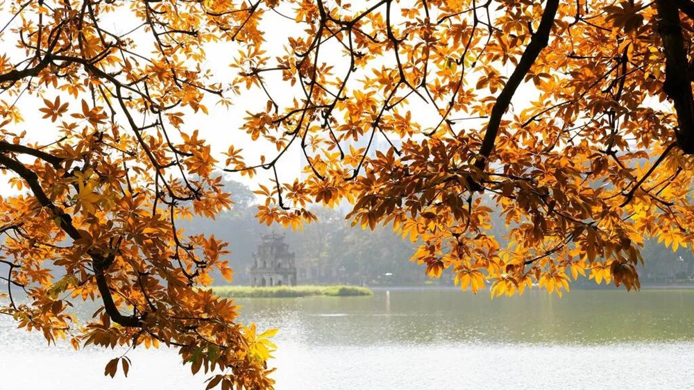 Một thành phố của Việt Nam đứng thứ 5 trong danh sách điểm ngắm lá mùa thu đẹp nhất châu Á - ảnh 1