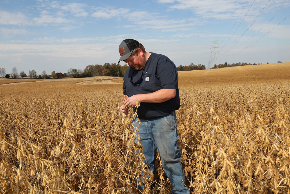 Trung Quốc 'giáng đòn', nông dân Mỹ điêu đứng - ảnh 2