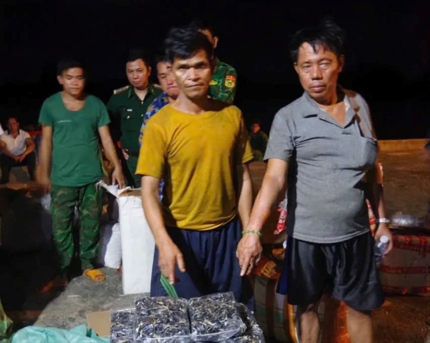 Phát hiện, thu giữ hơn 7 tấn sản phẩm động vật hoang dã vận chuyển trái phép - ảnh 2