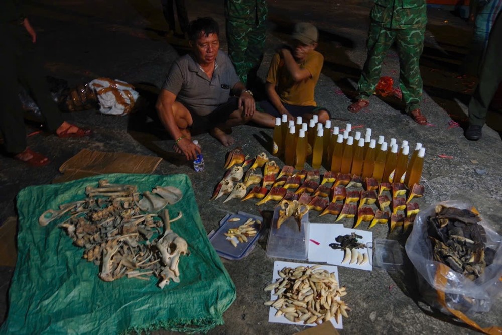 Phát hiện, thu giữ hơn 7 tấn sản phẩm động vật hoang dã vận chuyển trái phép - ảnh 4