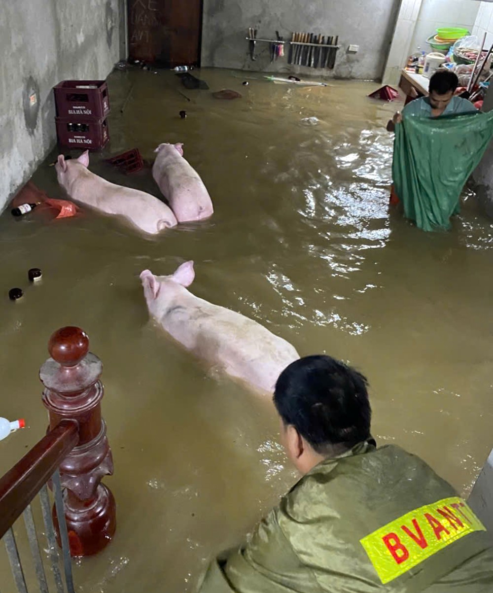 Cảnh báo lũ lớn kỷ lục - ảnh 3