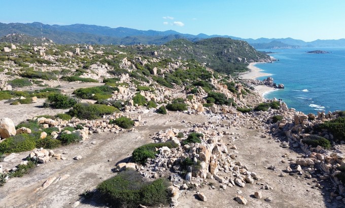 Việt Nam sở hữu khu rừng gần 11.000ha hiếm có bậc nhất Đông Nam Á, nằm trong VQG được UNESCO công nhận - ảnh 2