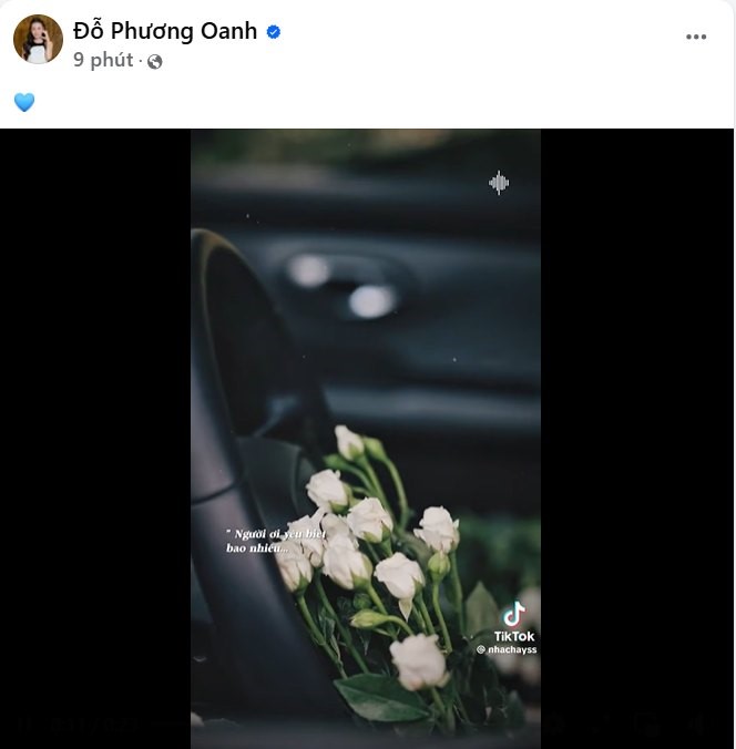 Động thái mới nhất của vợ Shark Bình - ảnh 1