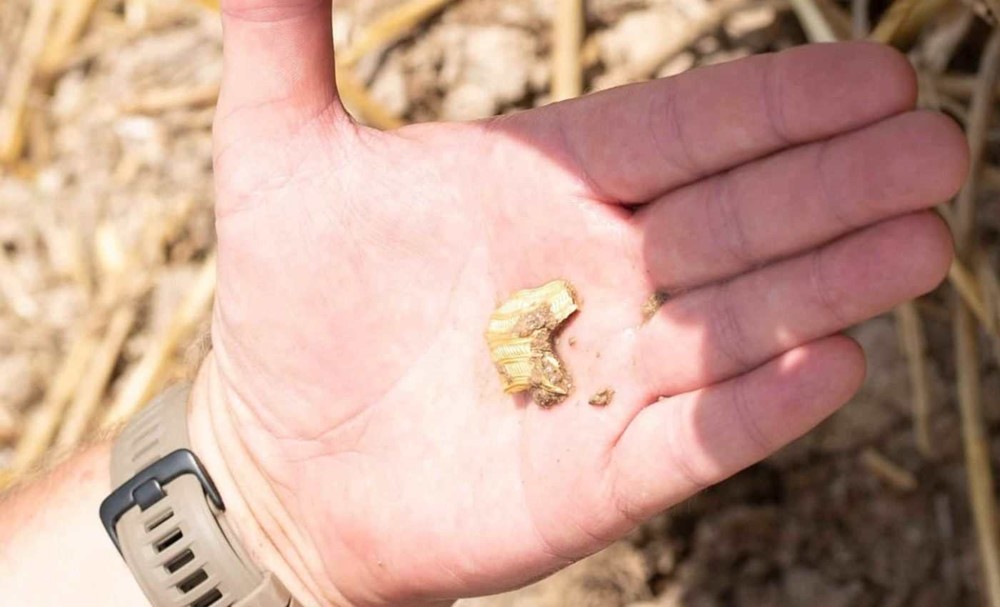 Phát hiện kho báu chứa 500 đồng tiền vàng, 80 món đồ trang sức trên cánh đồng - ảnh 3