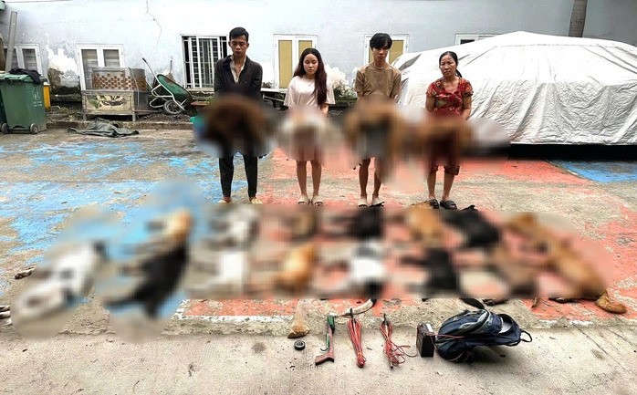 Bắt giữ khẩn cấp chủ lò mổ Phạm Thị Liên - ảnh 1