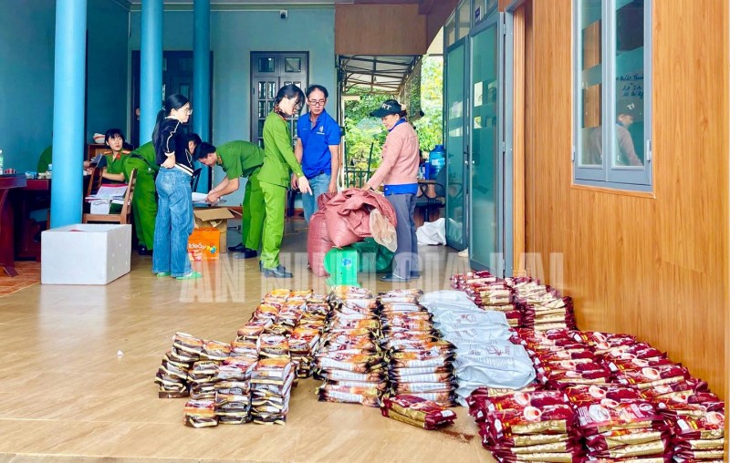 Tạm giữ hình sự Giám đốc Võ Minh Tùng - ảnh 3