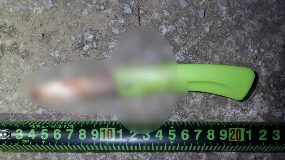 Nghi ngờ bị lừa bán, 4 người nước ngoài nhập cảnh trái phép ra tay với tài xế taxi - ảnh 2