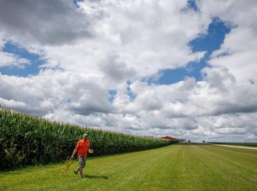 Cái giá của thương chiến: Vừa 'mất trắng' vì Trung Quốc, một mặt hàng nông nghiệp khác lại khiến nông dân Mỹ điêu đứng - ảnh 1