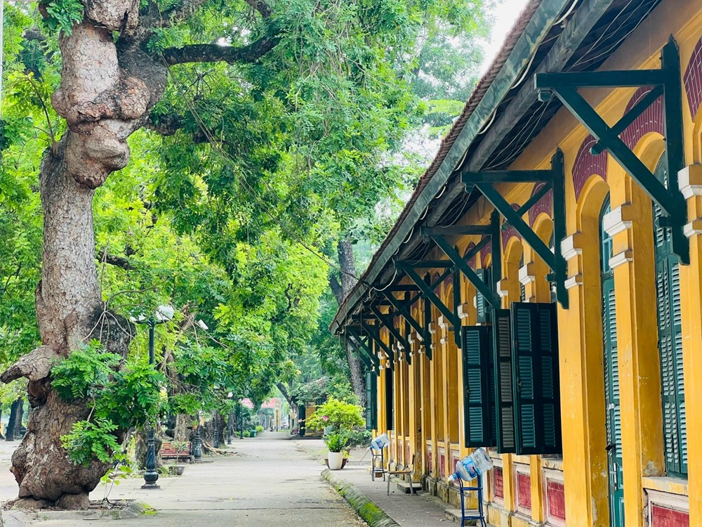 Trước Lê Quý Đôn, đây là 7 danh nhân Việt Nam được UNESCO vinh danh - ảnh 4