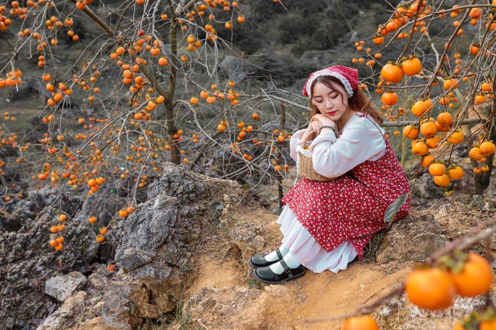 Cách trung tâm Hà Nội 200km có nơi được mệnh danh là 'Đà Lạt của miền Bắc', đang bước vào mùa hồng chín rực rỡ  - ảnh 3