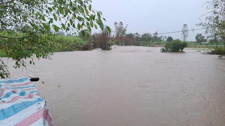 Gia Lai di dời khẩn cấp 1.000 hộ dân - ảnh 7