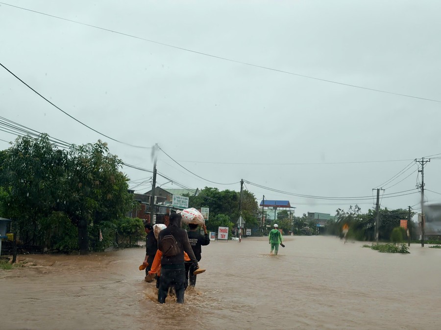 Gia Lai di dời khẩn cấp 1.000 hộ dân - ảnh 9