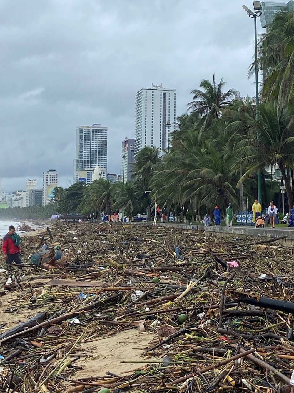 Bãi biển 'đẹp nhất hành tinh' của Việt Nam tan hoang sau trận lũ lịch sử - ảnh 4