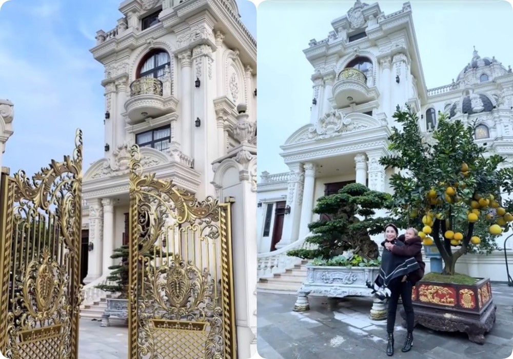 Cận cảnh lâu đài 2.000m2 bề thế, to nhất làng của gia đình Mailisa ở Hà Tĩnh - ảnh 2